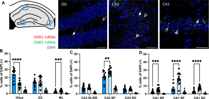 Why Are Orexin Receptor Antagonists Less Pursued?